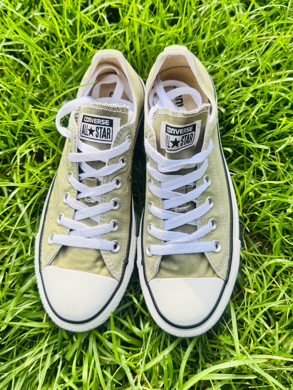 Converse Low Top Sneakers - Olive Green & White